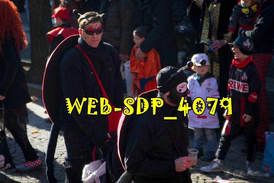 WEB SDP 4079