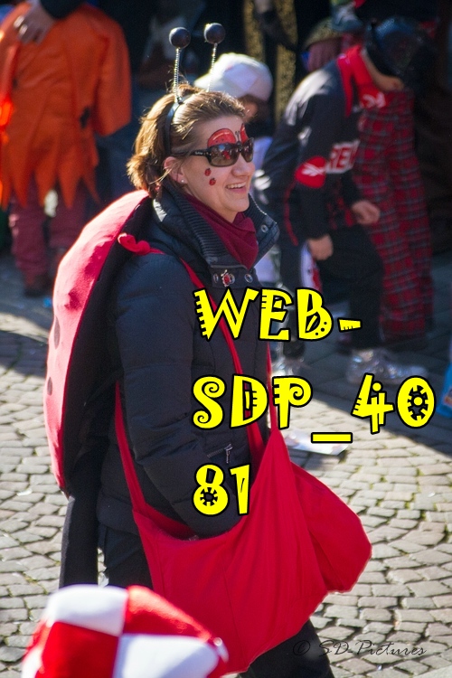 WEB SDP 4081