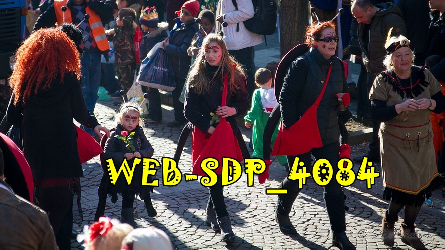 WEB SDP 4084