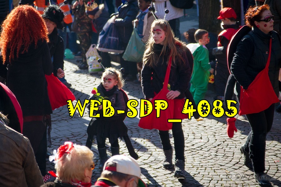 WEB SDP 4085