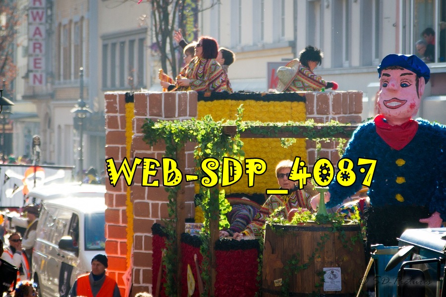 WEB SDP 4087