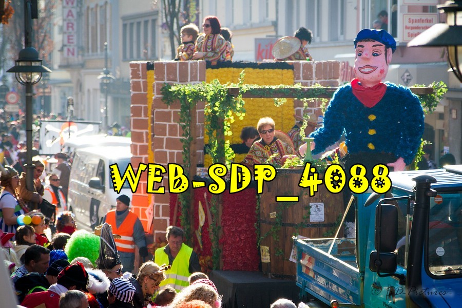 WEB SDP 4088
