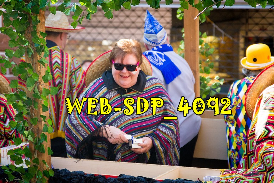 WEB SDP 4092