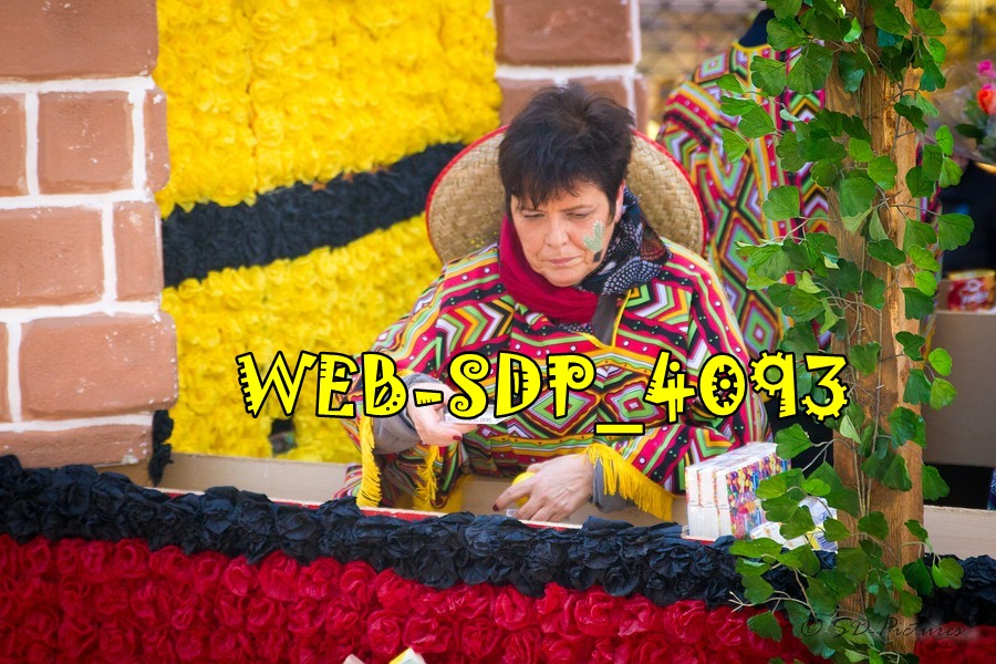 WEB SDP 4093