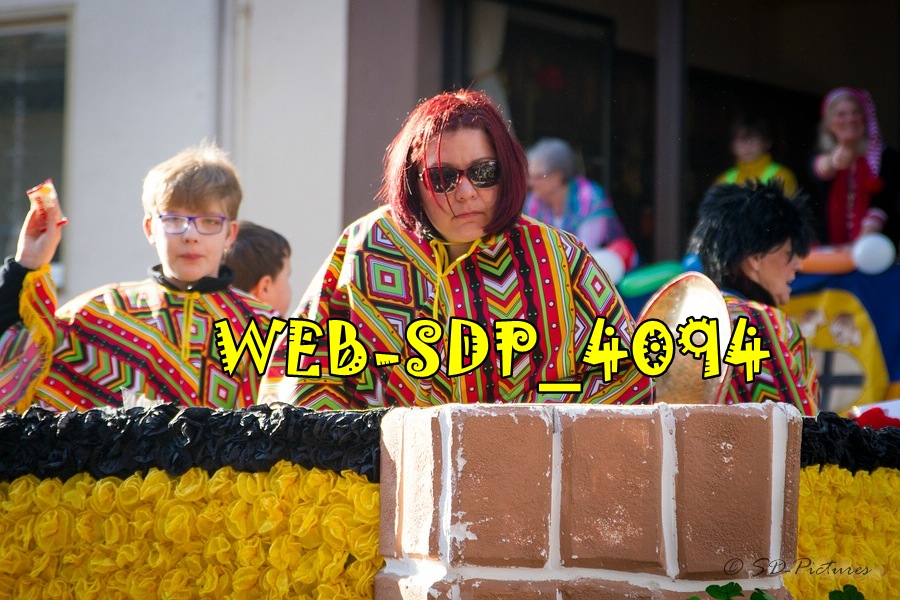 WEB SDP 4094