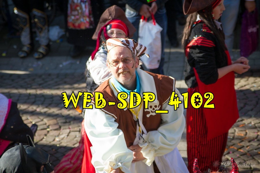 WEB SDP 4102