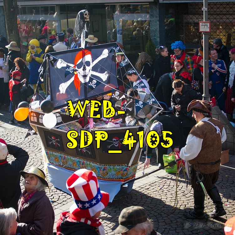WEB SDP 4105