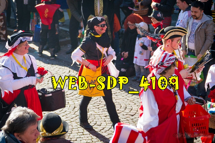 WEB SDP 4109