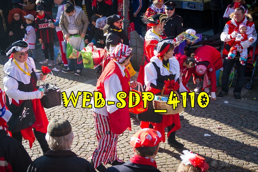 WEB SDP 4110