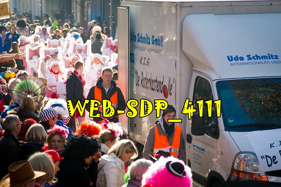 WEB SDP 4111