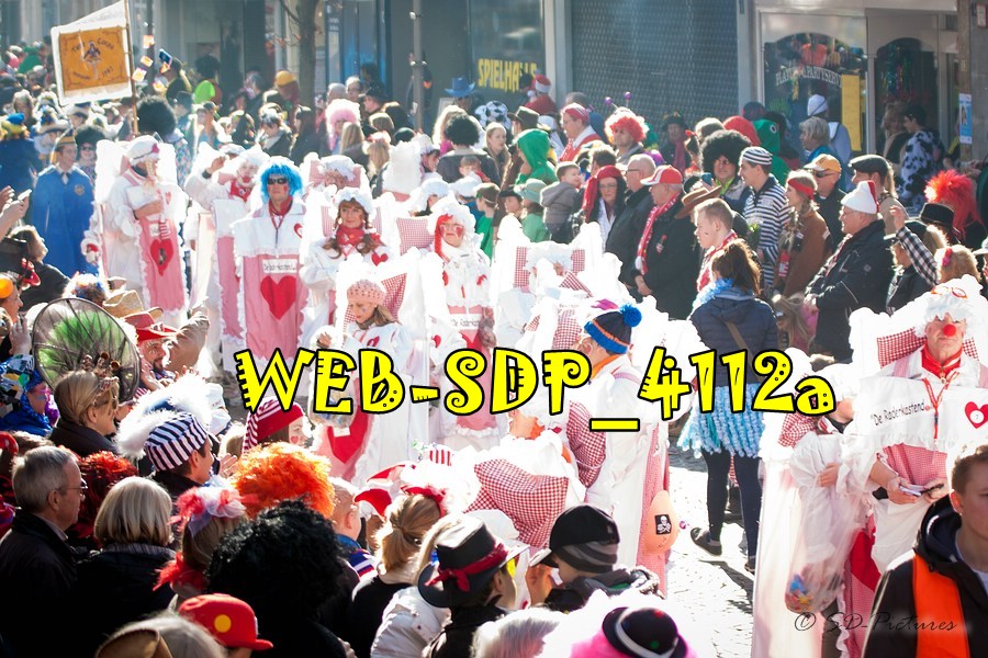 WEB SDP 4112a