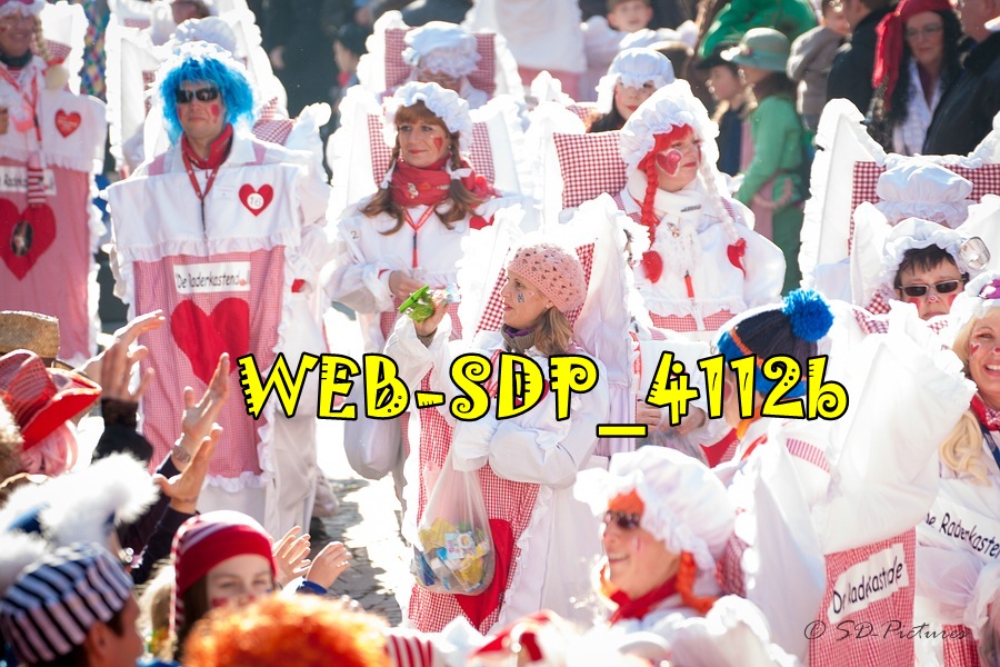 WEB SDP 4112b