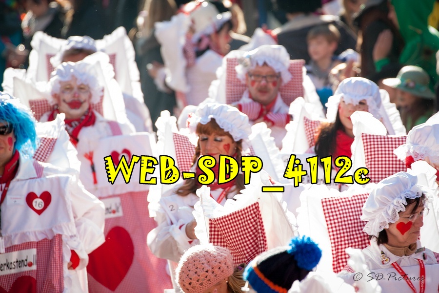 WEB SDP 4112c