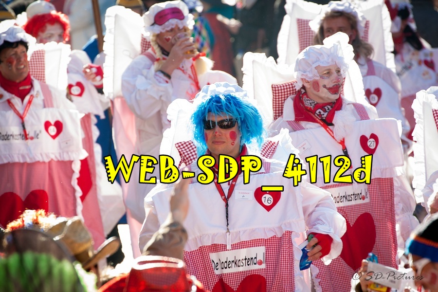 WEB SDP 4112d