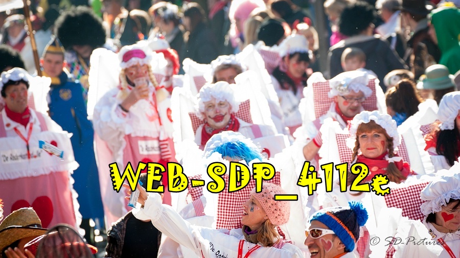 WEB SDP 4112e