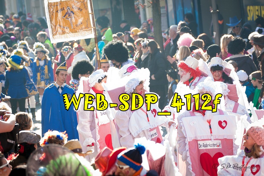 WEB SDP 4112f