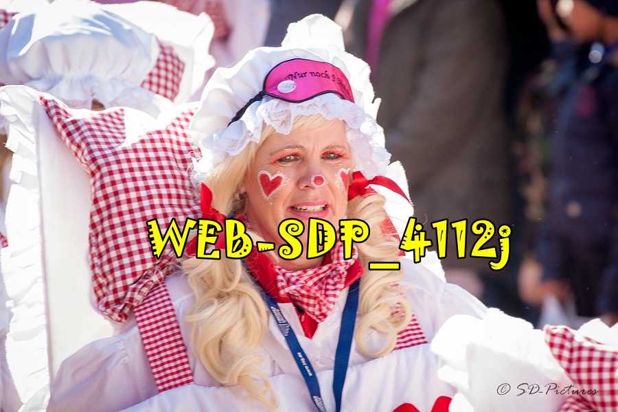 WEB SDP 4112j