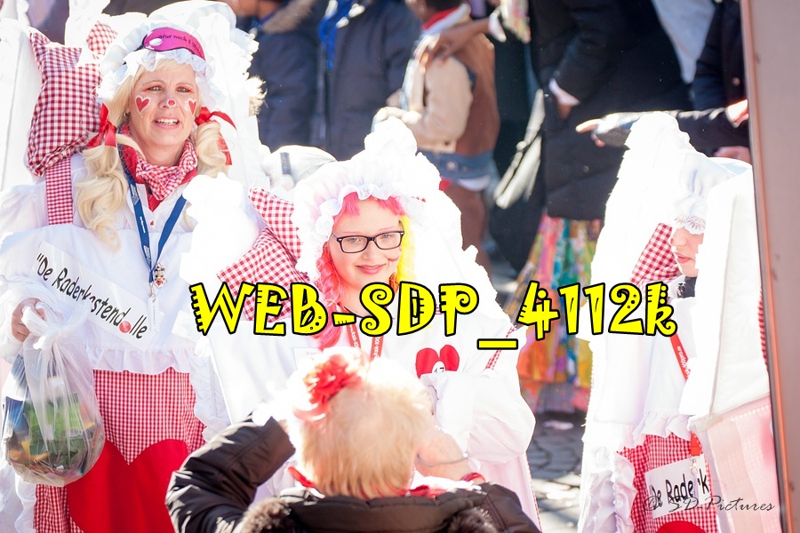 WEB SDP 4112k