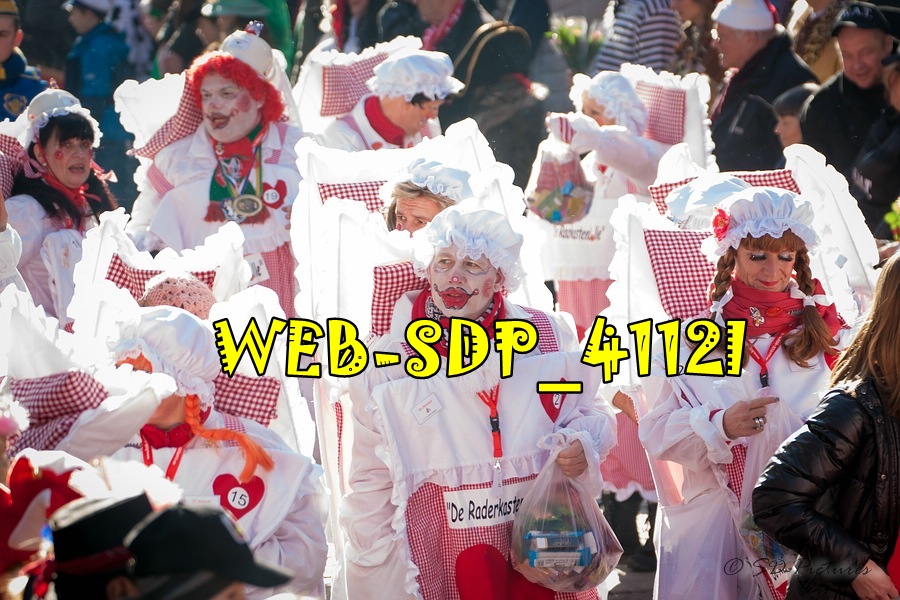 WEB SDP 4112l