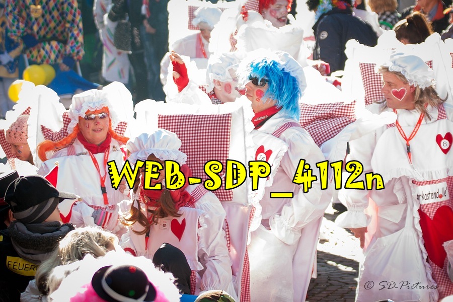 WEB SDP 4112n