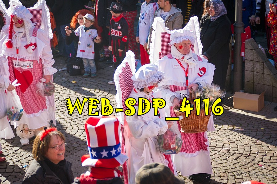 WEB SDP 4116