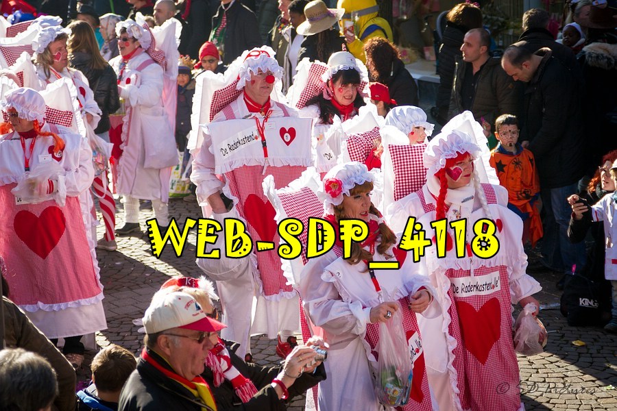 WEB SDP 4118