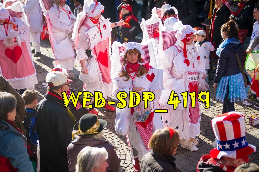 WEB SDP 4119