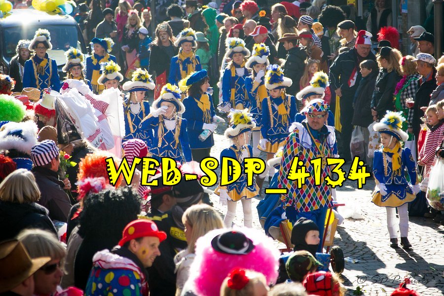 WEB SDP 4134
