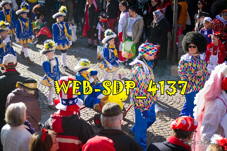 WEB SDP 4137