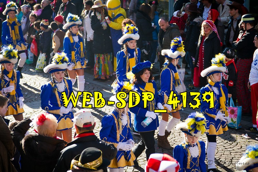 WEB SDP 4139