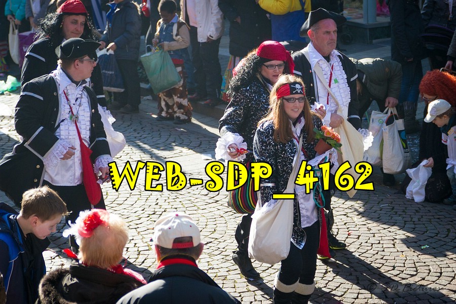 WEB SDP 4162