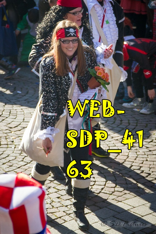 WEB SDP 4163