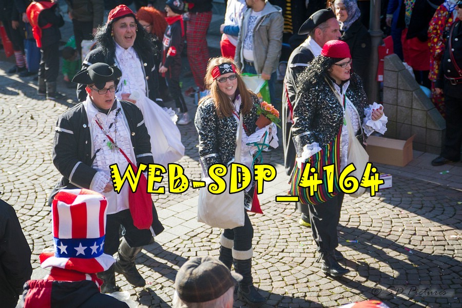 WEB SDP 4164