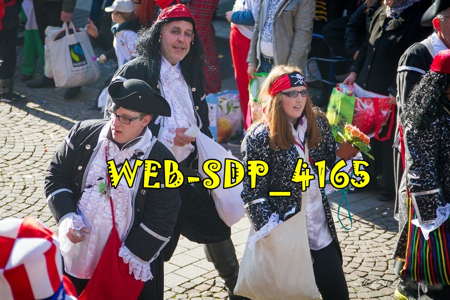WEB SDP 4165