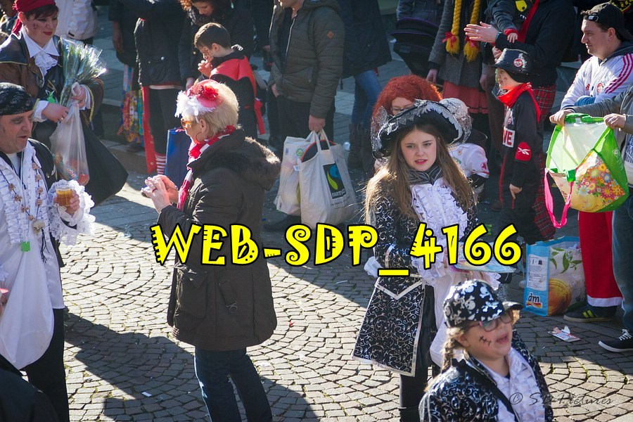 WEB SDP 4166