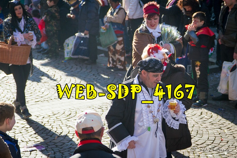 WEB SDP 4167