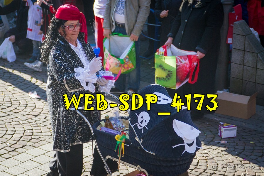 WEB SDP 4173