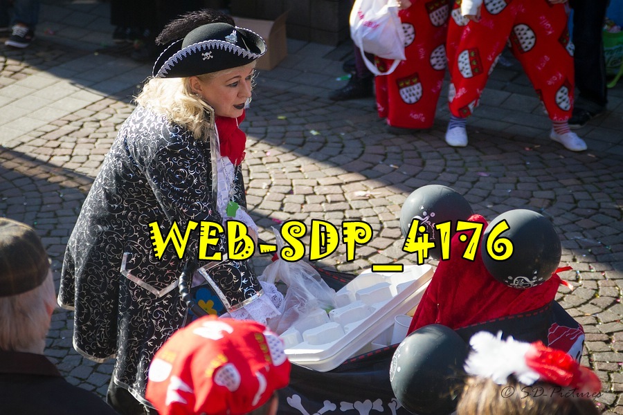 WEB SDP 4176