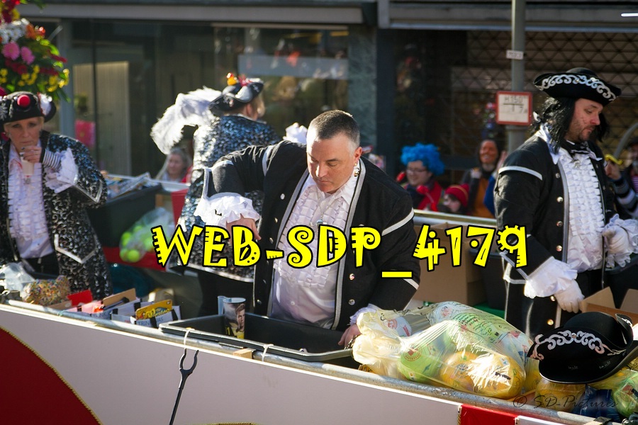 WEB SDP 4179