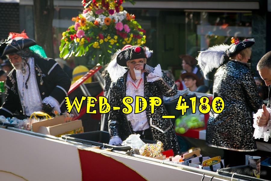 WEB SDP 4180