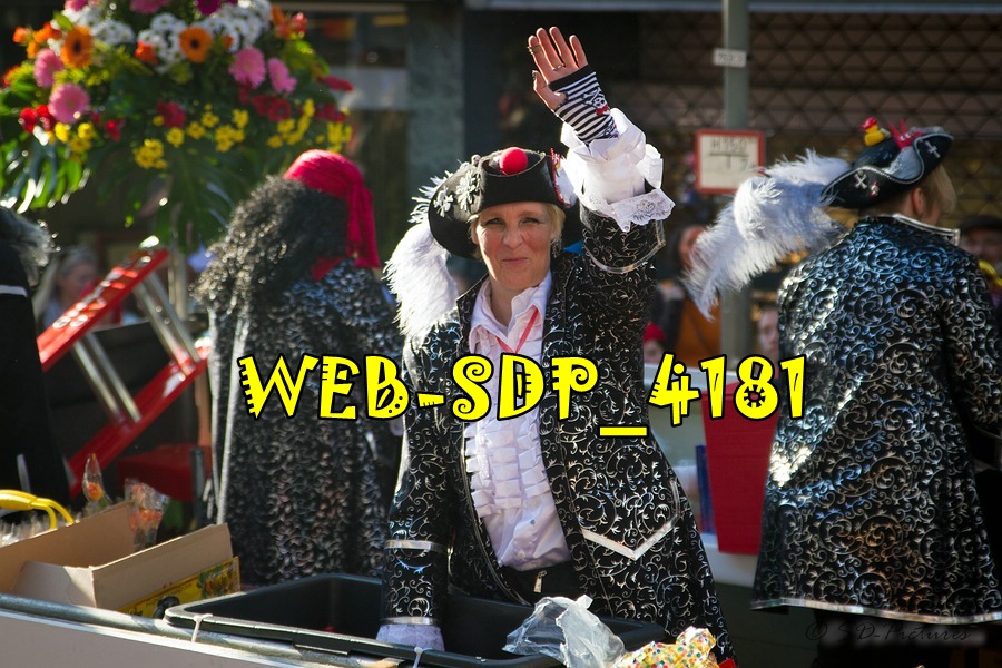 WEB SDP 4181