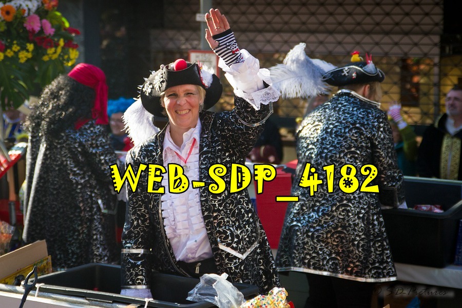 WEB SDP 4182