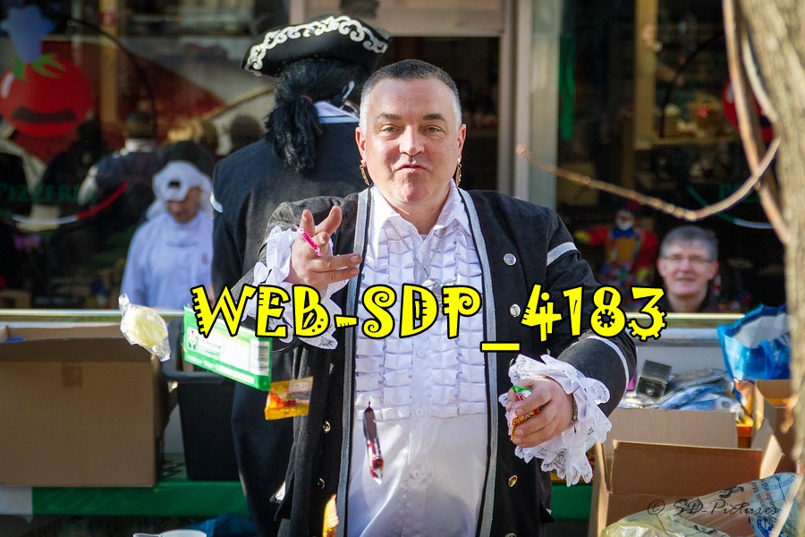 WEB SDP 4183