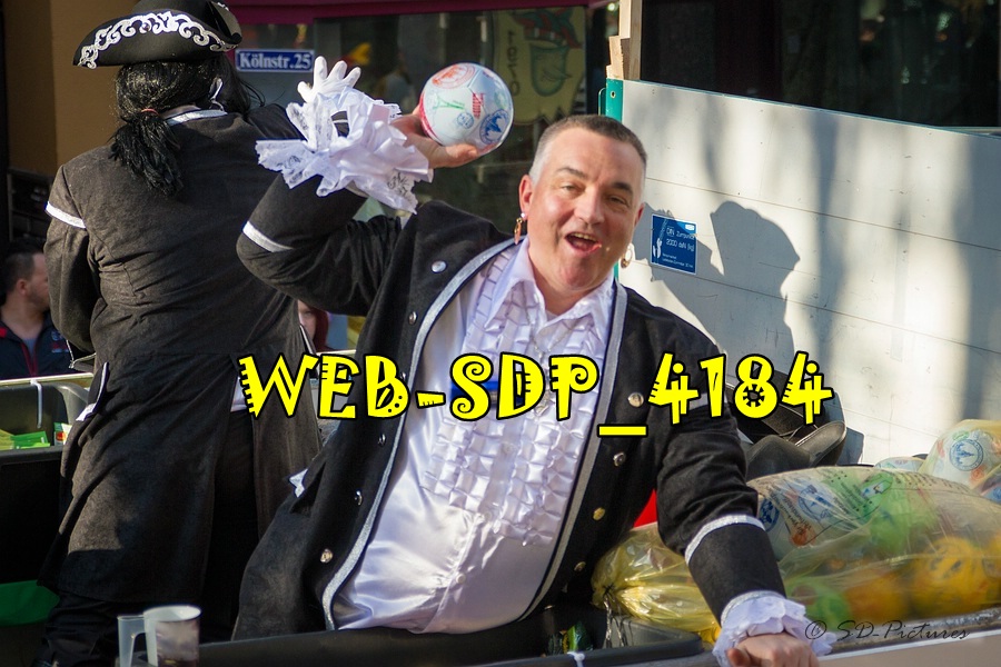 WEB SDP 4184