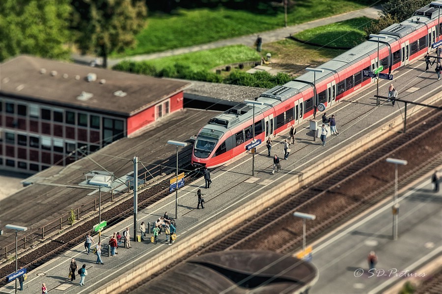 WEB IMG 2738 HDR(3) Default