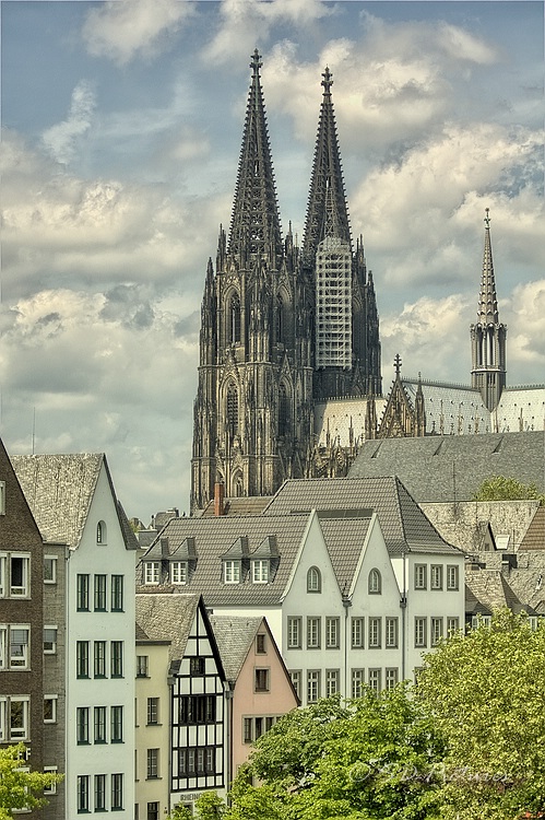 WEB IMG 4277 HDR(3) Default