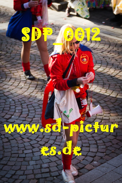 SDP 0012