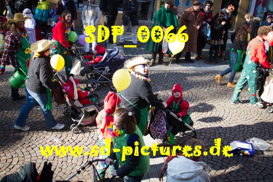 SDP 0066