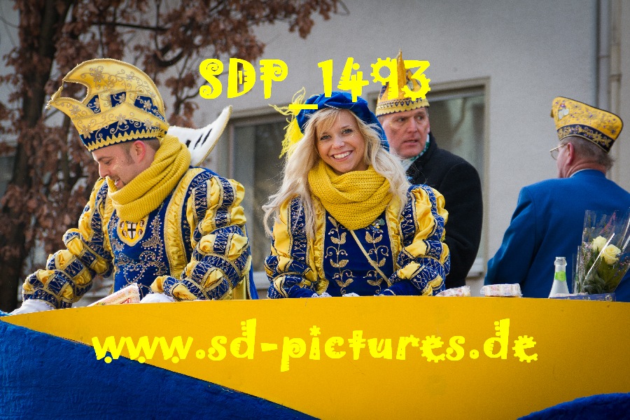 SDP 1493