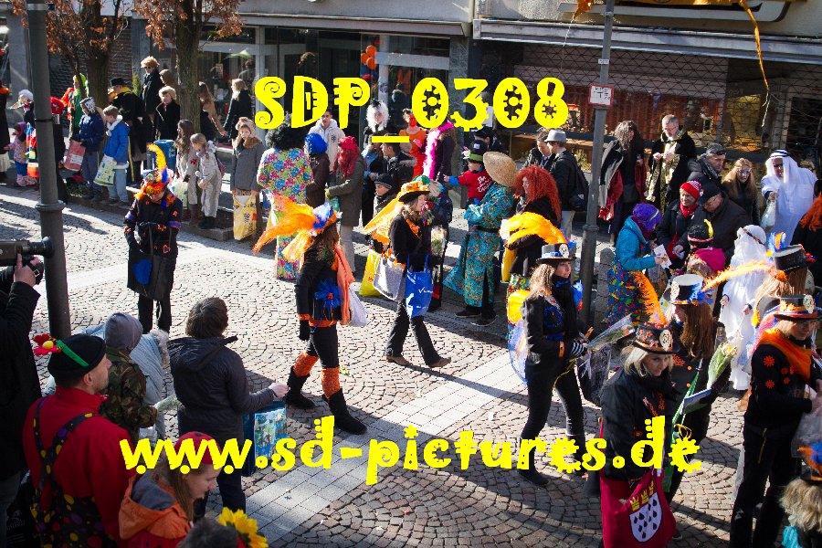 SDP 0308